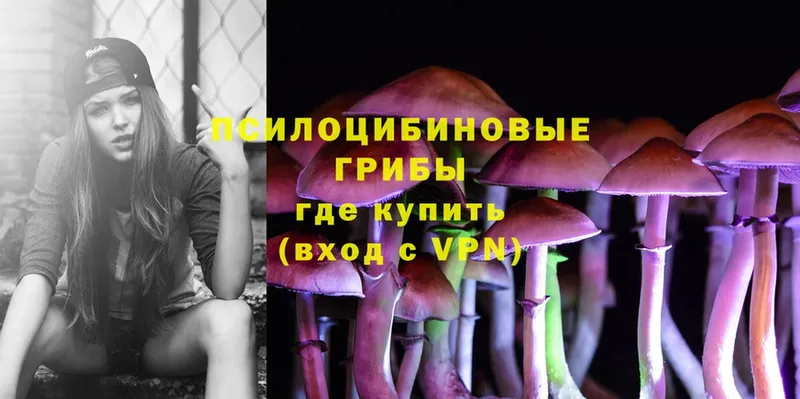 что такое   Беломорск  Псилоцибиновые грибы Psilocybine cubensis 